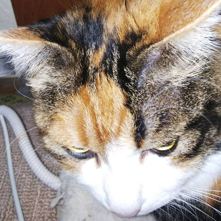 93168843 a4ca 4361 882f ce8edbff09ce 1544478424936