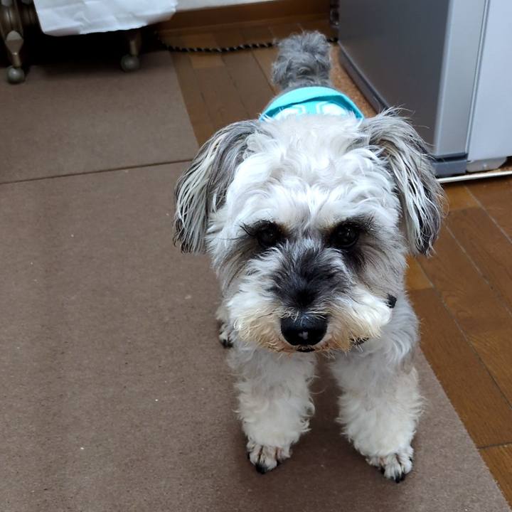 9316c110 3388 403f 9334 af783e459d9a 1751418933680