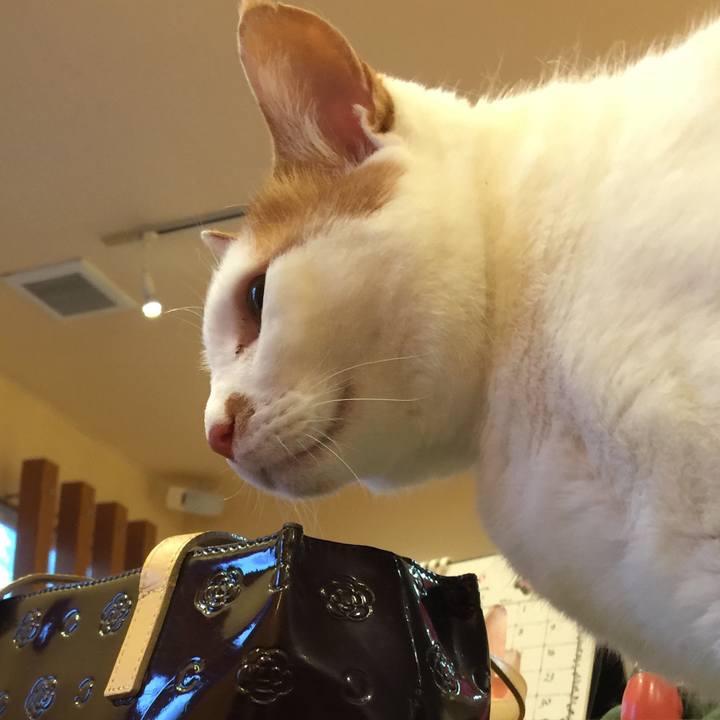 93170811 066d 41b6 bcac 1b35be5e1b74 1530702672861