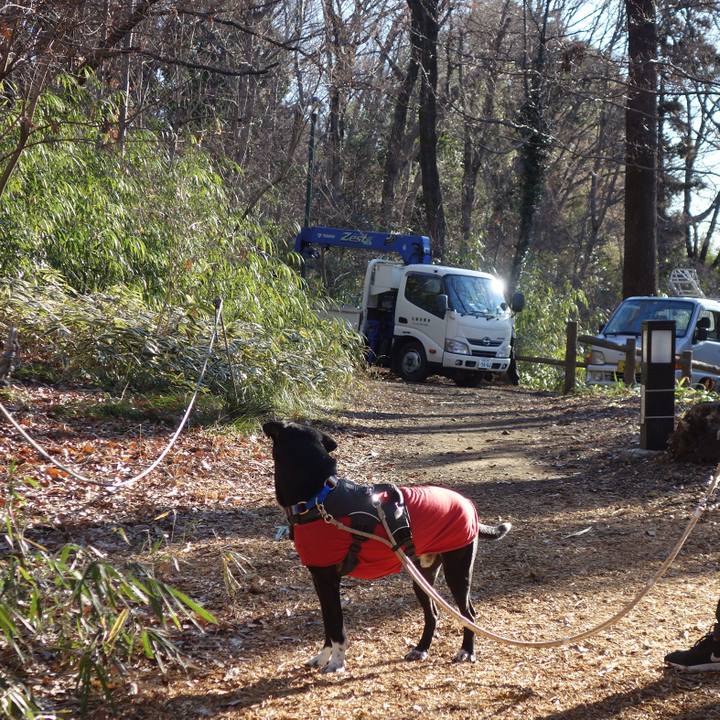 93172dc1 13d1 41e4 a0fe 5f3b66b95f55 1645147770431