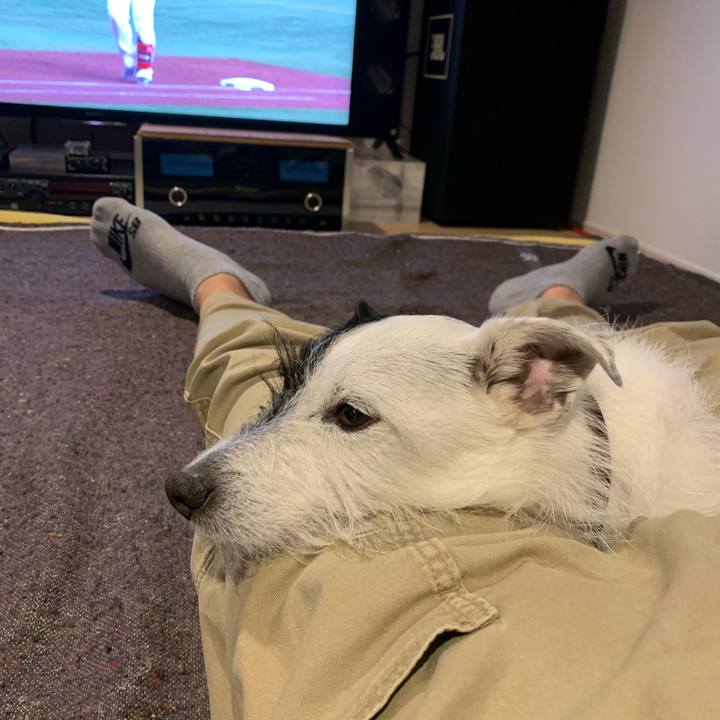 9317362e f139 4fa3 b246 370768293da5 1678619503681