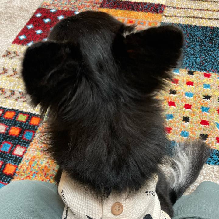 93173a5c 6bdd 47c0 b6c5 9ccd3486c8a1 1684077382017