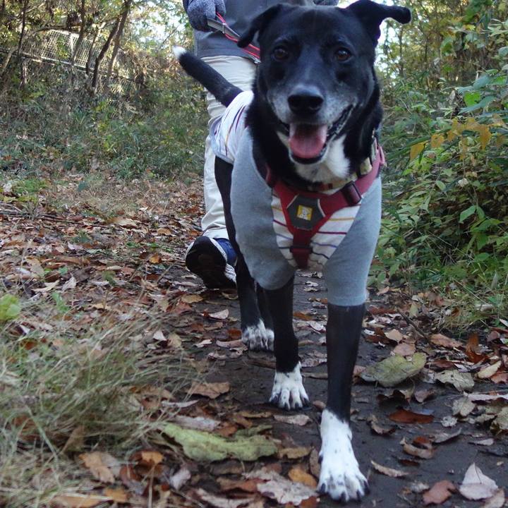 93176d63 ce60 4d8a b42a 0206764a2003 1701564323532