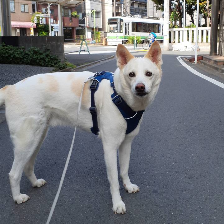 93178a8e a0e8 46ec beda 5a92909ffa3d 1683258381832