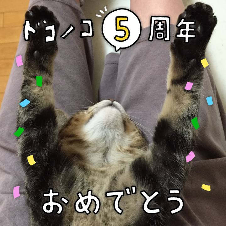 931796d4 57fd 49bd aa1f e3934a393be5 1623055265523