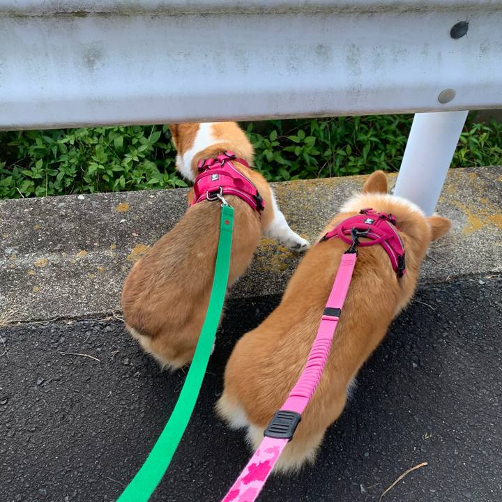 9317c8ac a850 461b 806f f0b10cff9250 1626479895299