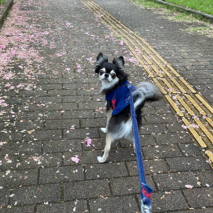 9318122f 5d43 4a38 a523 22f1019ffcb8 1714234777940