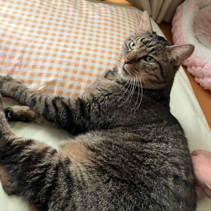 93182540 f0e6 4e27 9704 adb754403f39 1757801264560