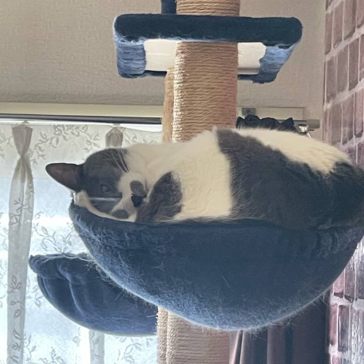 93185c3d 1865 4acd 9947 398f91b77564 1738982925791