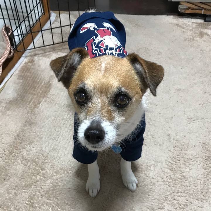 931884a5 35c0 4825 81fd e01345222437 1556230807690