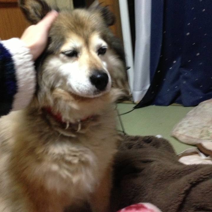 93189eec f9fc 4ca8 bcca 7efaf5253c1b 1617238856126