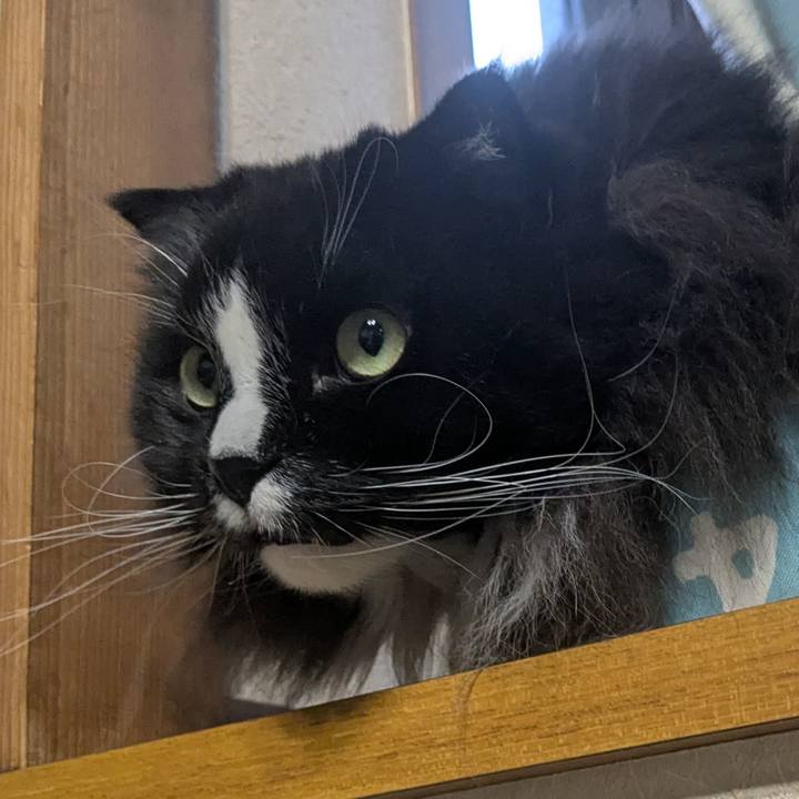 9318b2bd e549 46ef 95b0 529b25e42307 1769500883301