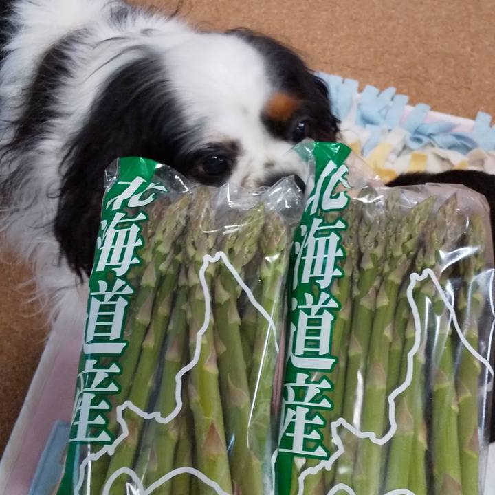 9318bba1 4a02 4ef9 a0a5 a8fcb8a2179d 1559291056872