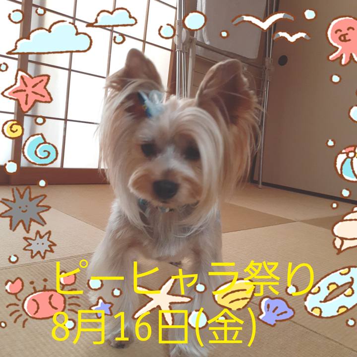 9318dbfa e88a 4a59 82b6 57dbd79d2e6f 1565089369340