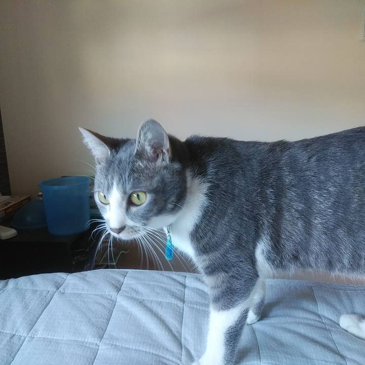 9318fd27 fa40 4ec4 ba41 670cfbc96406 1587596211412