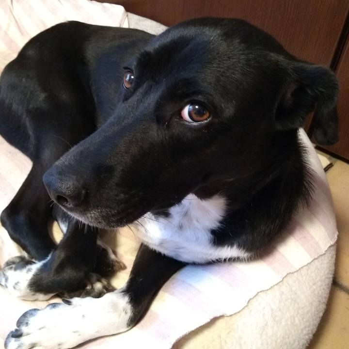 93191379 8c4d 4395 b788 24f927fa21c1 1586947567154