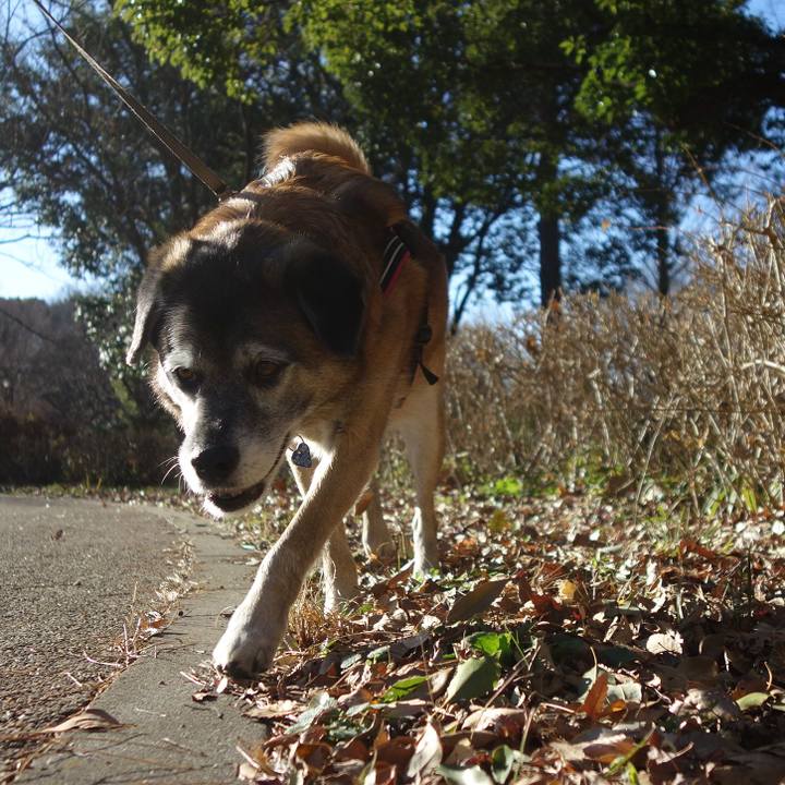 93191e6b 6b76 4d4b 9ee6 053d0c7c64b5 1548462793055