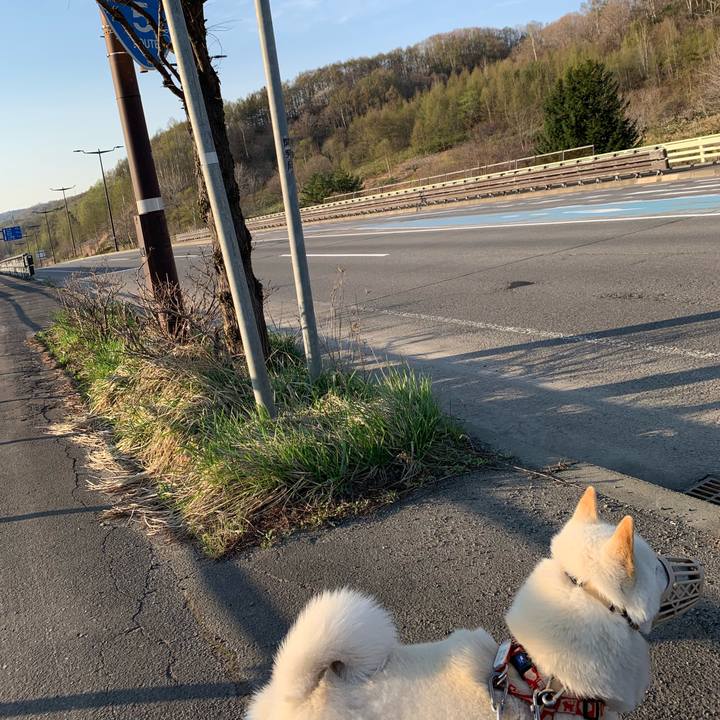 9319256a 2583 4fbe 8df0 bf07084a9cf1 1556605317600