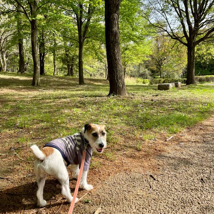 93192683 d624 438e b5dd acaacef39f8f 1681194336478