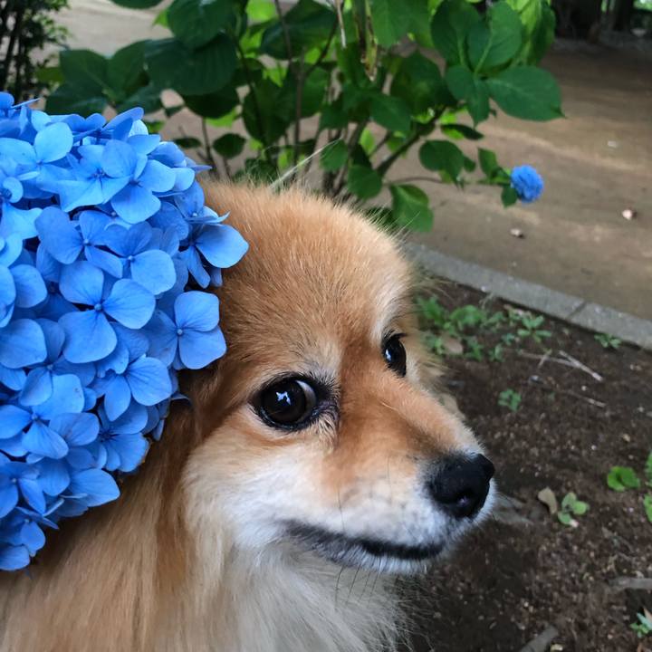 931946a2 099d 4495 b3e7 6e1ec4332462 1560826434987