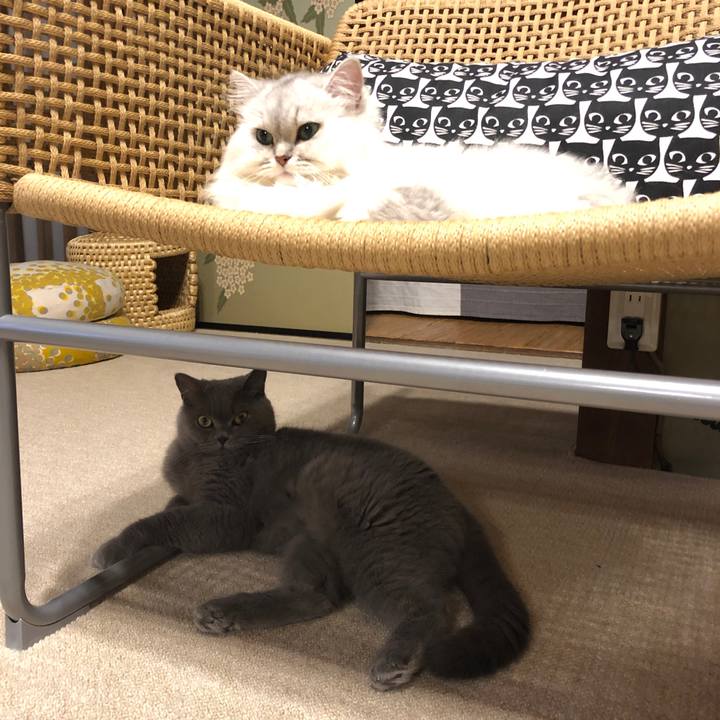 93194c37 8de6 4d14 a4af 1ee71dd617cb 1567339236018