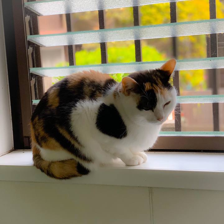 931956f4 0f27 4788 945e 3214253b0669 1557369120920