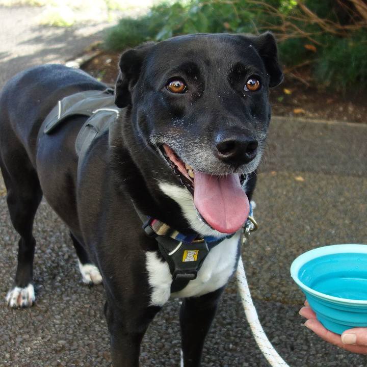 93198e73 6421 45ee 9fdf 631e09d5c5b8 1664153219180