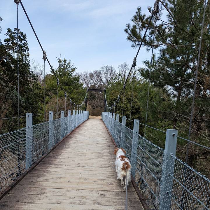 9319948d 098b 47e8 8c29 ad782aa2eaf7 1678606998413