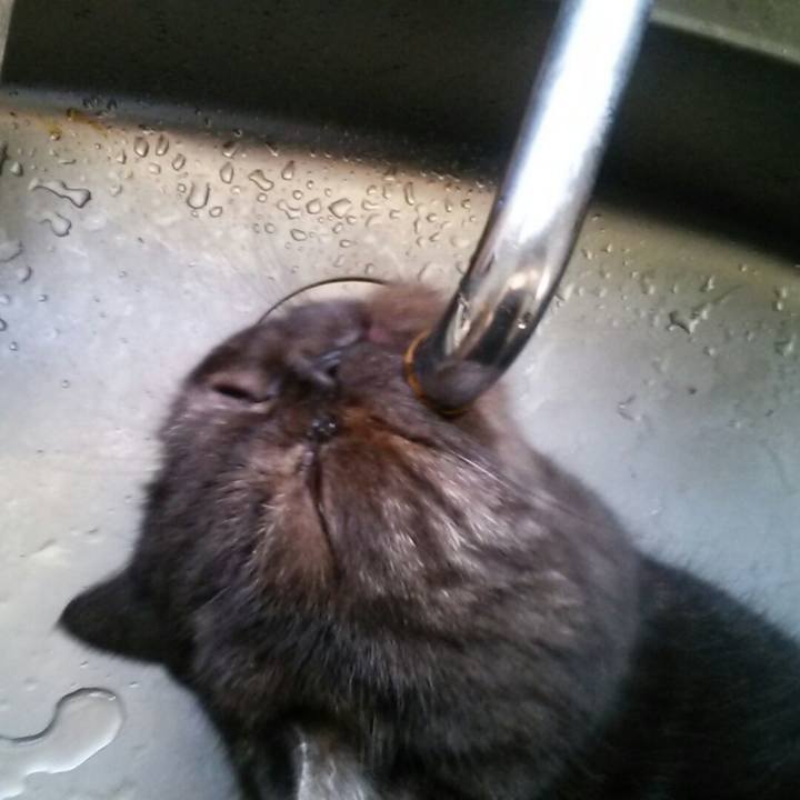 93199c1d 5077 4acc 9b63 98a4d87a4073 1588674941638