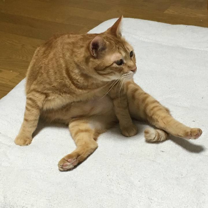 9319a8be f095 46fc 9cde ba3fe50995fa 1561474139102