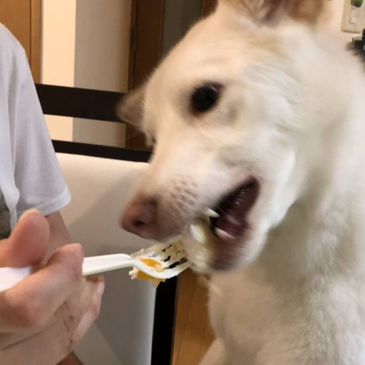 9319b8f8 d405 47a4 af60 c0caae9140be 1531660447710