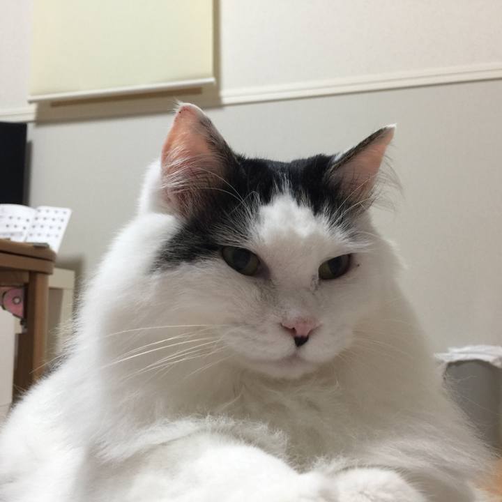 9319b9a3 ca92 4de4 82dc 8cb96216e9e6 1533300460362