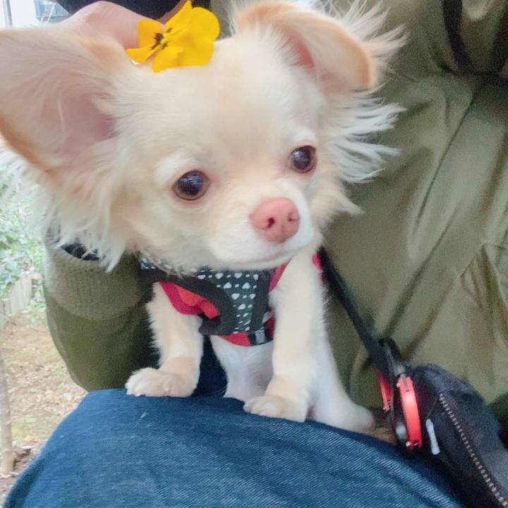 9319d39f 7517 4f6d 8a7f 4b8a8da88f96 1614335791854