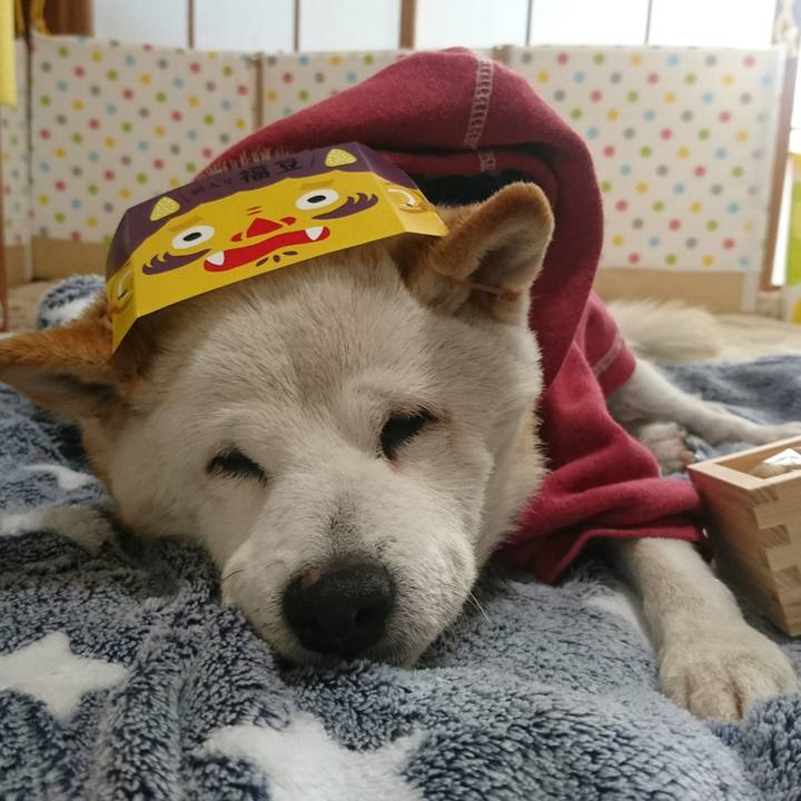 9319f99a e4a0 4887 9162 b5fb63b4f11b 1517637395757