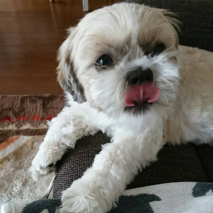 931a108d cbc1 431a 8d3f 7d29065e2c81 1539666789795