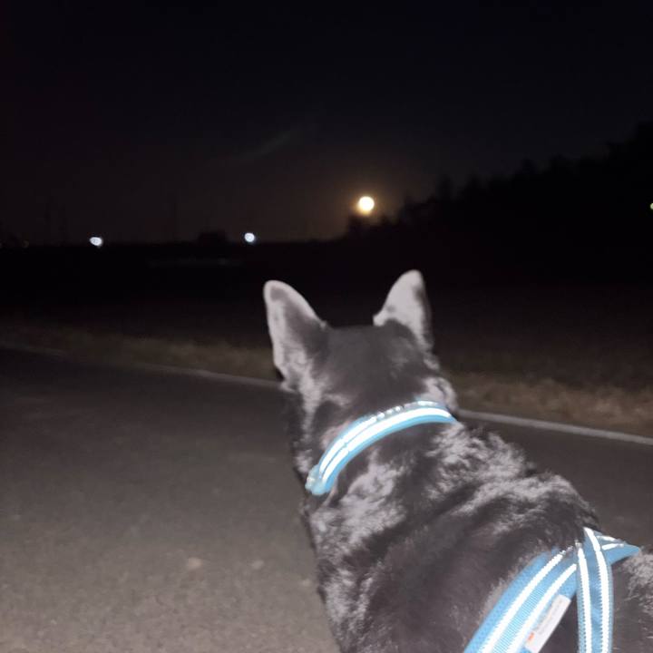 931a3b4a dcca 4fad b64a 2db1feef949e 1765107244171