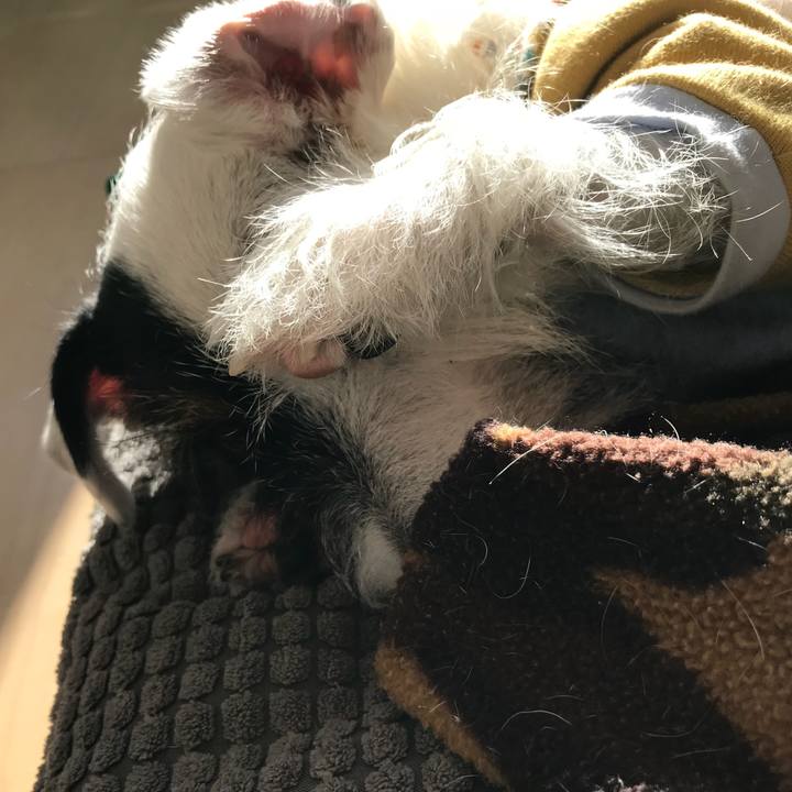 931a510f 8e8b 4b0b 9f0f 03b05ccbe30f 1512619794881