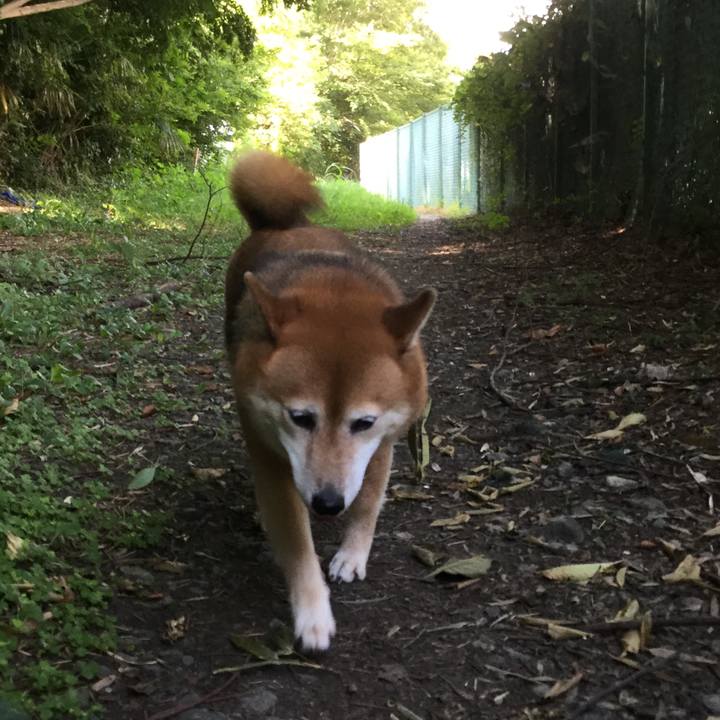 931a5610 52fb 4cb6 8b04 8a76e17b0694 1598230156247