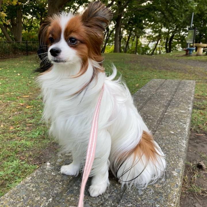 931a58b3 3cab 4543 b914 a64759ff4a71 1632814046236