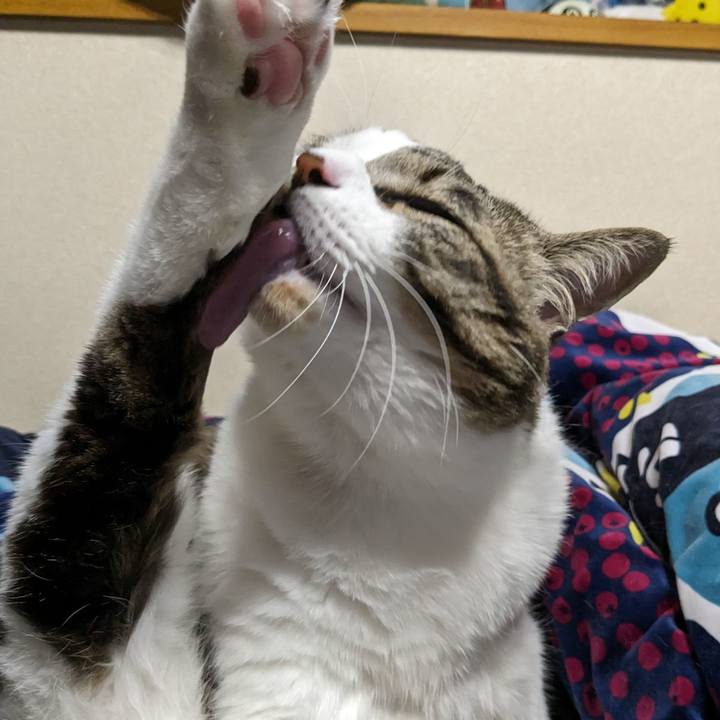 931a5d0f 6796 4604 8d6d 81a3ae7ed161 1707731813888