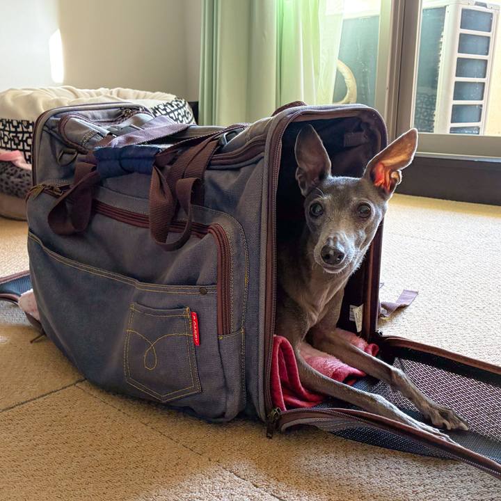 931a78fb 4a46 4b66 8304 95ba8a3583af 1763373910344