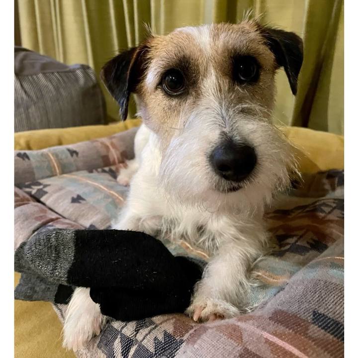 931a9797 3ec8 417d 9e77 cd2585550806 1682513928366