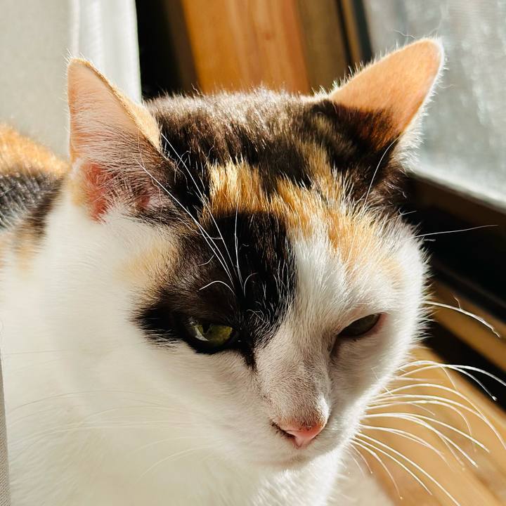 931a9a43 8885 4e26 b6a9 9460a3e86864 1703294015995