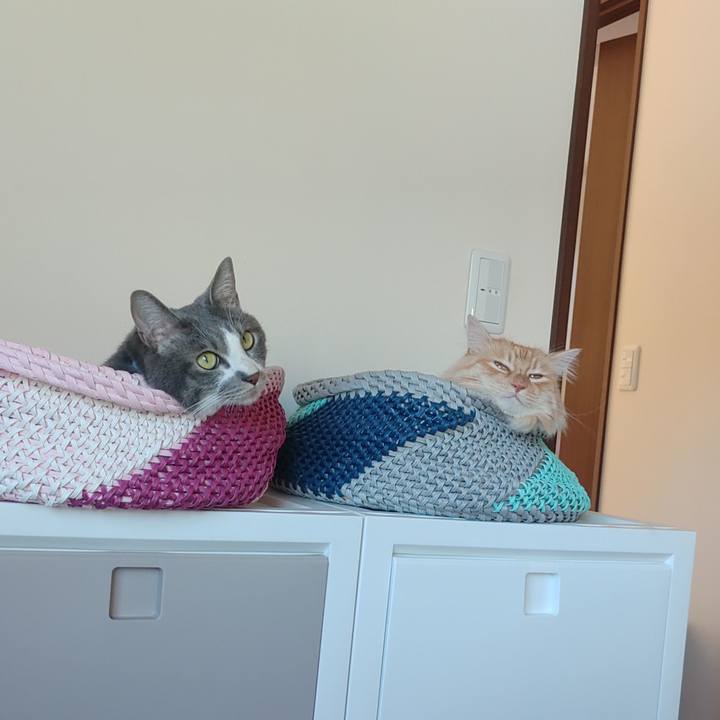 931aa522 67a3 4a99 bb22 2f261fae1750 1656110720495