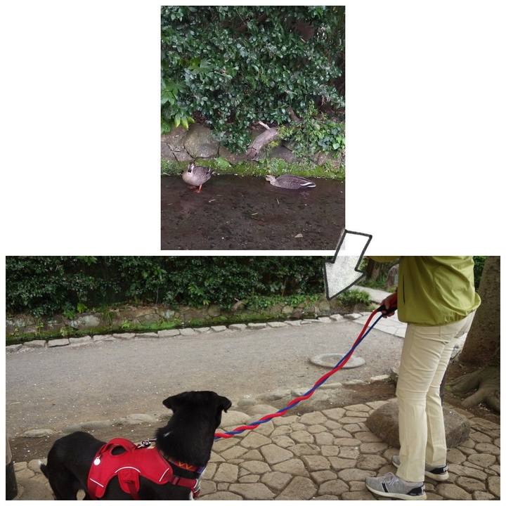 931abd5e 7864 4e58 89a3 cd5e3397e26e 1586226424364