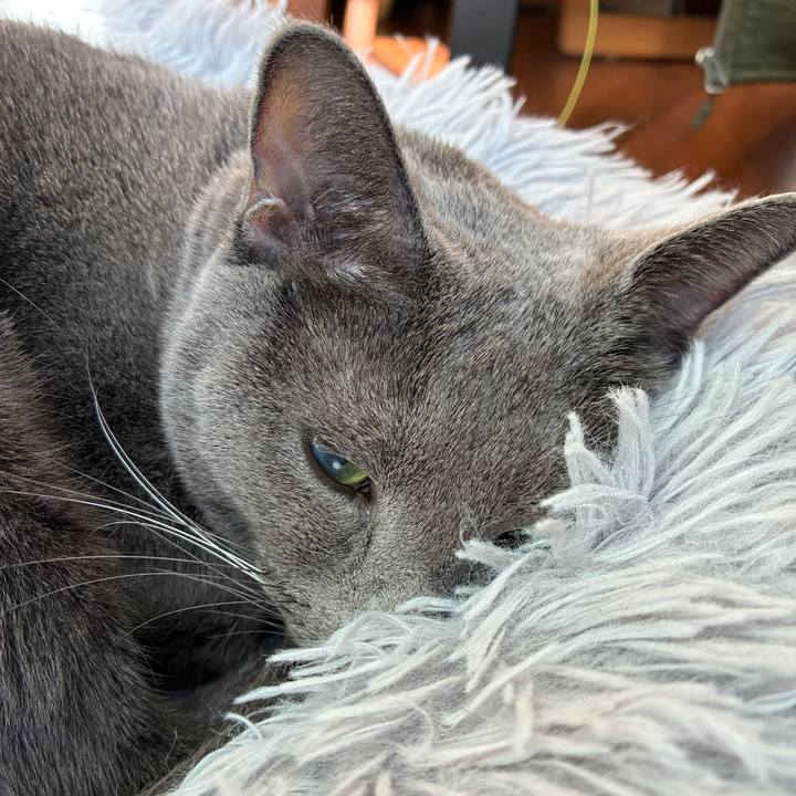 931adcc0 6683 43e7 9890 2e90d6883ce4 1764981635894