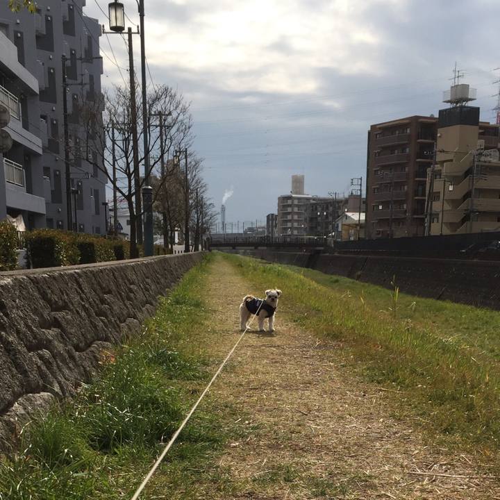 931ae3fe 9d5a 4fd4 b938 c9cd6eff49cb 1549345457738