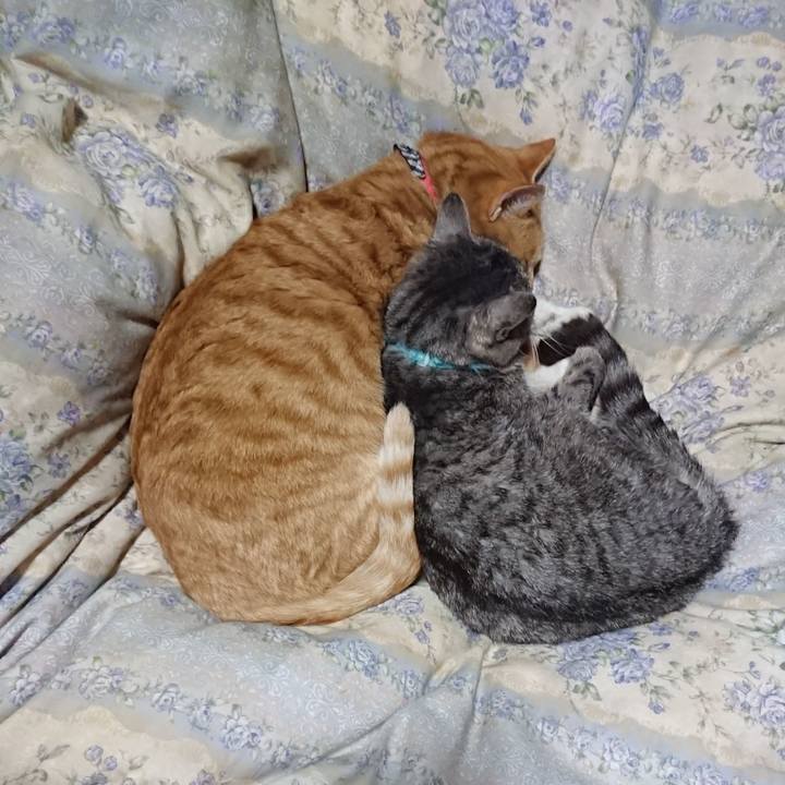 931b71f7 a11f 469f 920a 979bcc6be13f 1575896697259