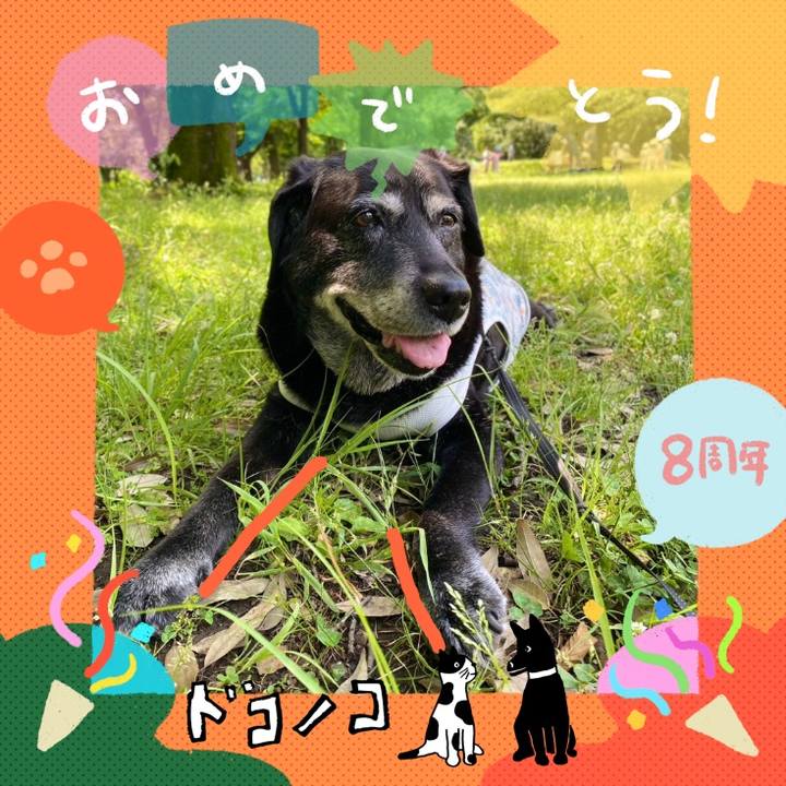 931ba538 1c9e 4cc1 aecb 9ae6787d1775 1717596306564