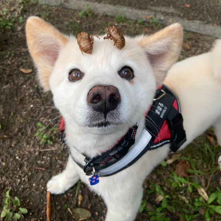 931be2b6 89b8 44d6 909d f0cd968cdaba 1721049389655